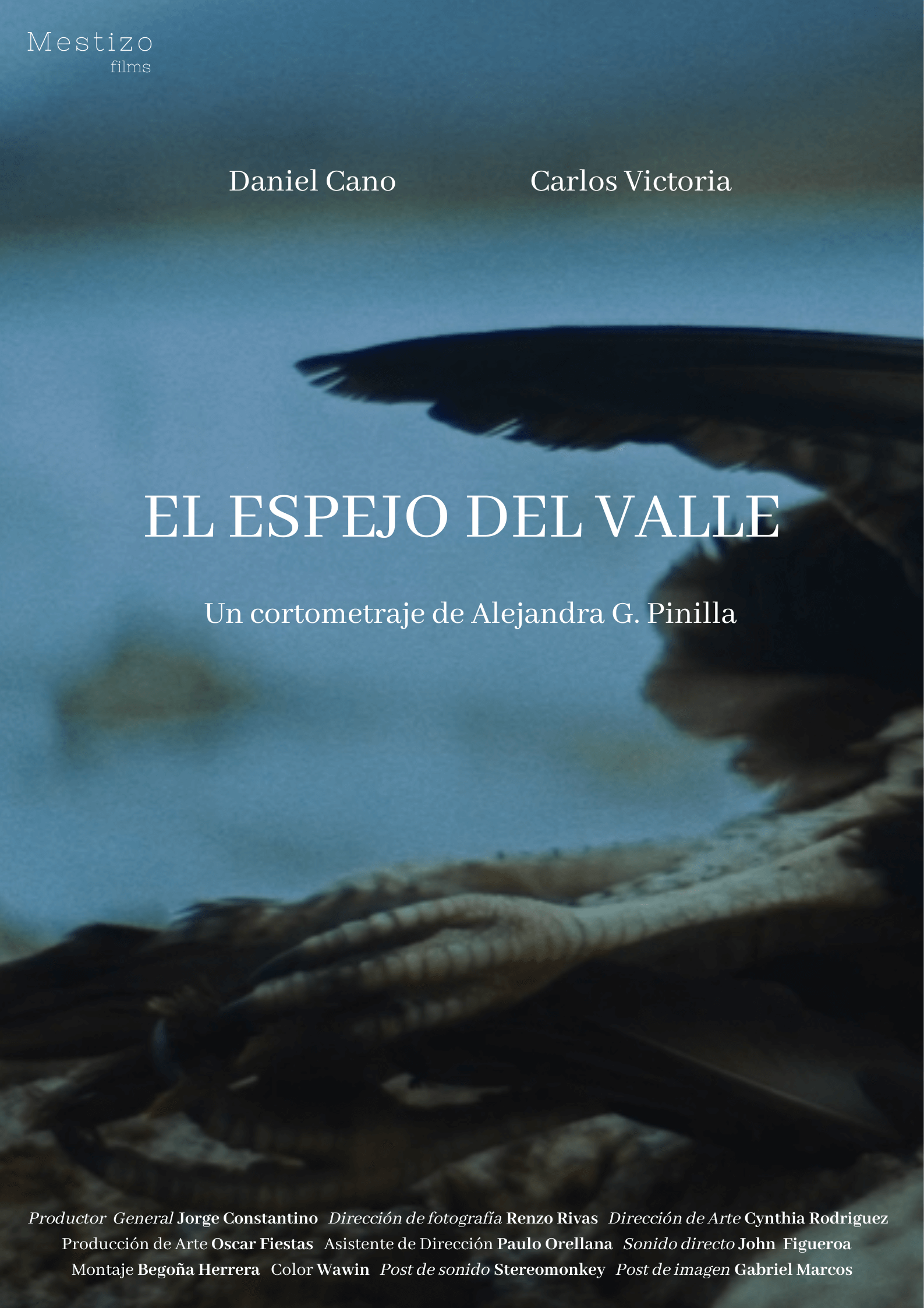 El Espejo del Valle_poster