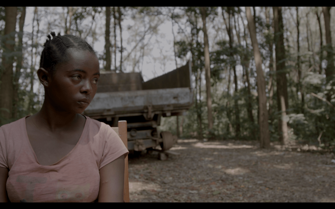 SEMILLAS DE KIVU
