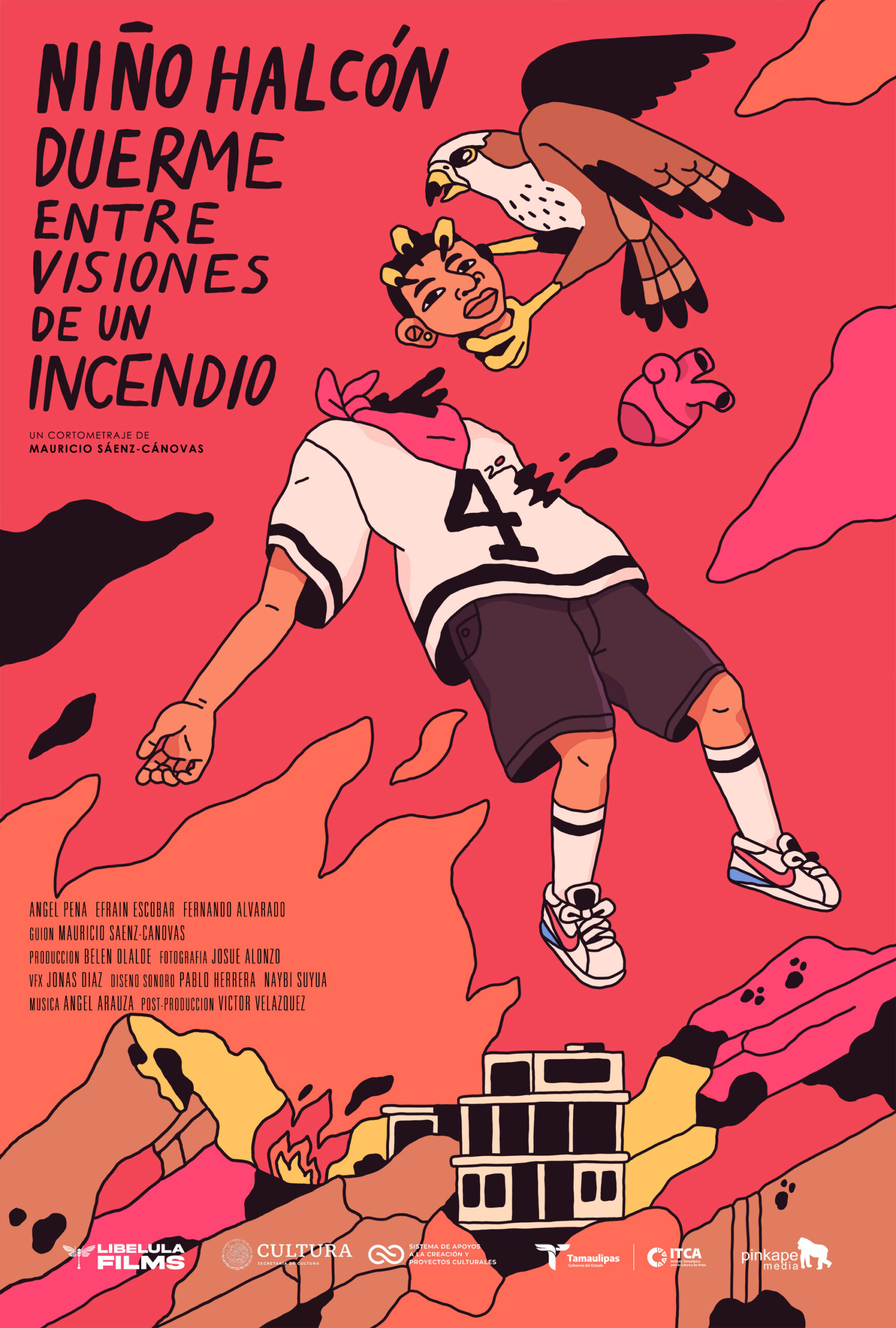 niñohalcon