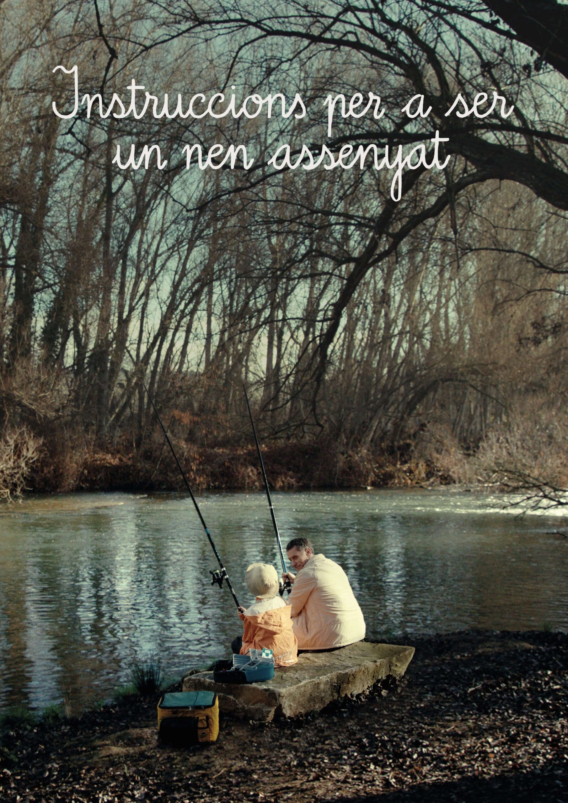 Instruccions per a ser un Nen Assenyat_poster