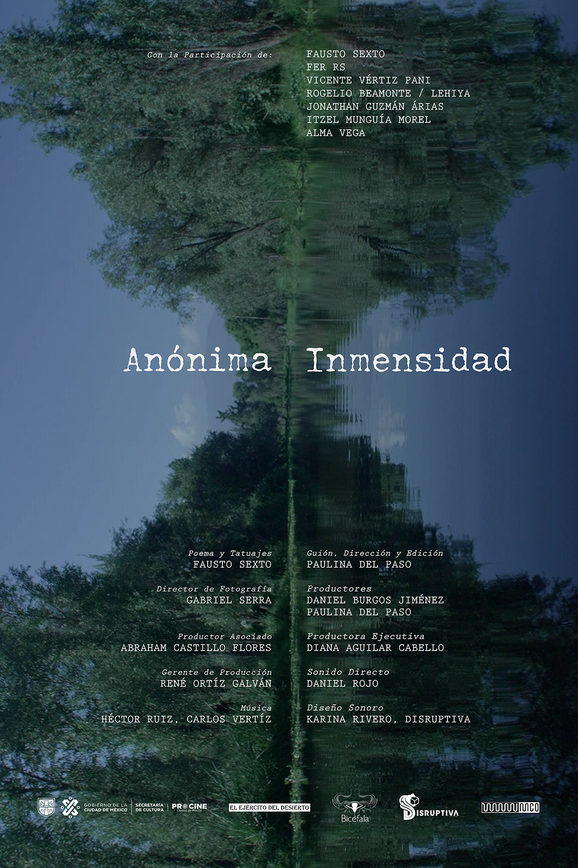 anónima inmensidad_poster