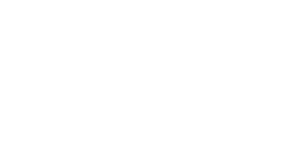 logoweb-audi