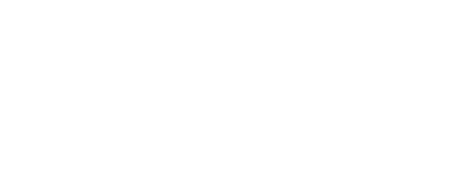 logoweb-pontdemar
