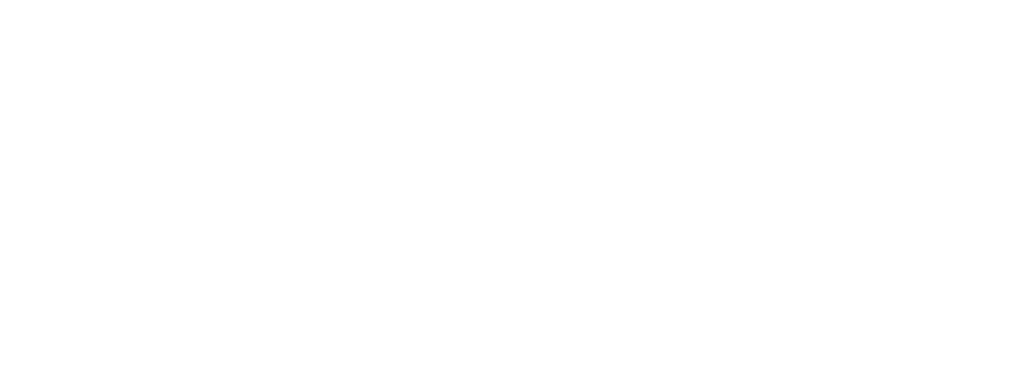 logoweb-sanmartin